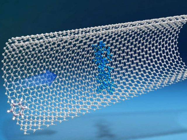 Carbon Nanomaterials